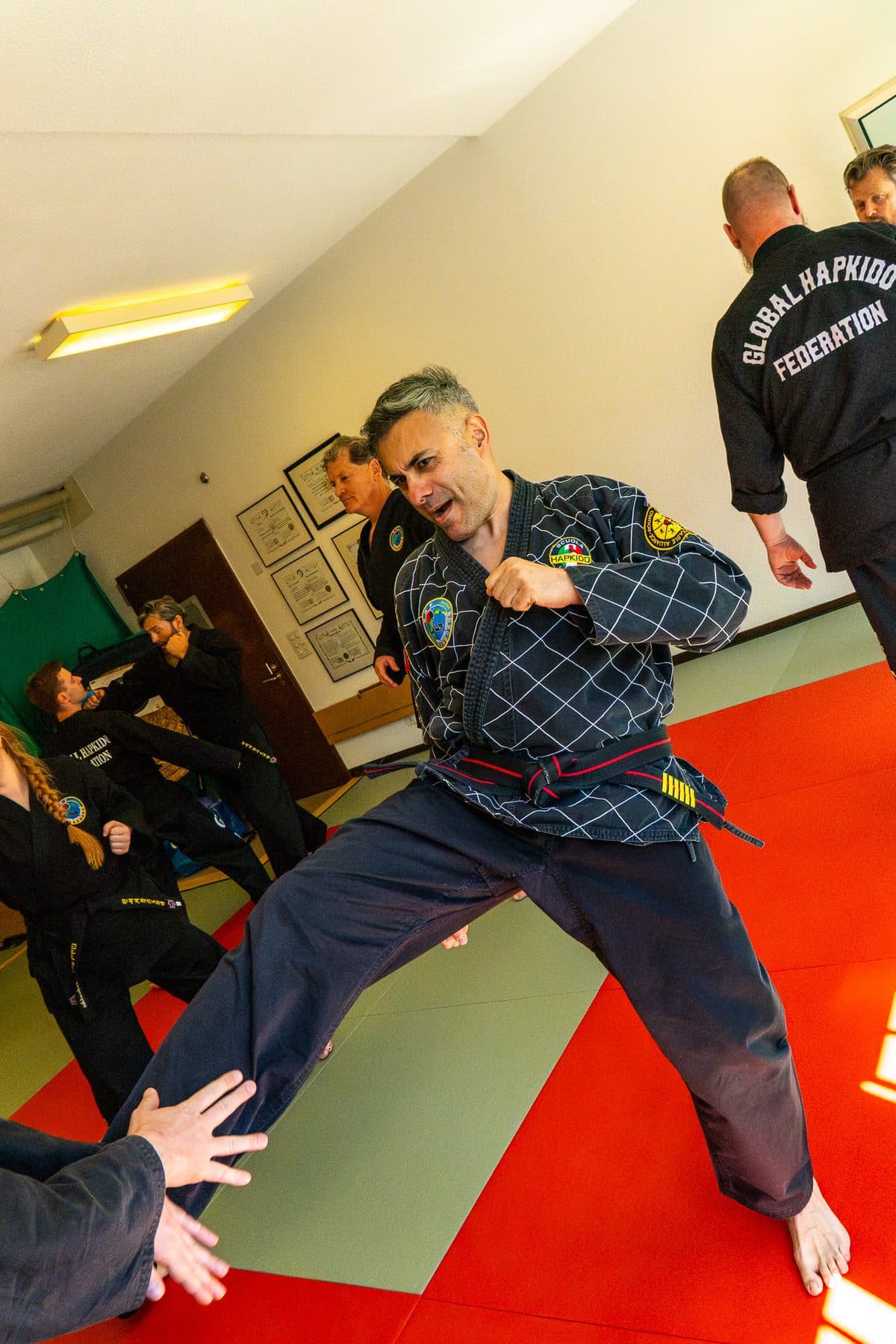 Global Hapkido Federation — Fotos